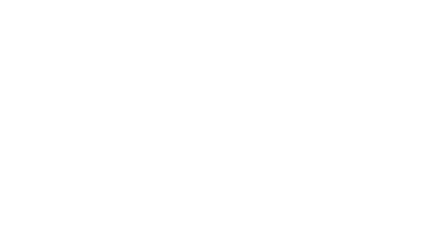 Penguin King